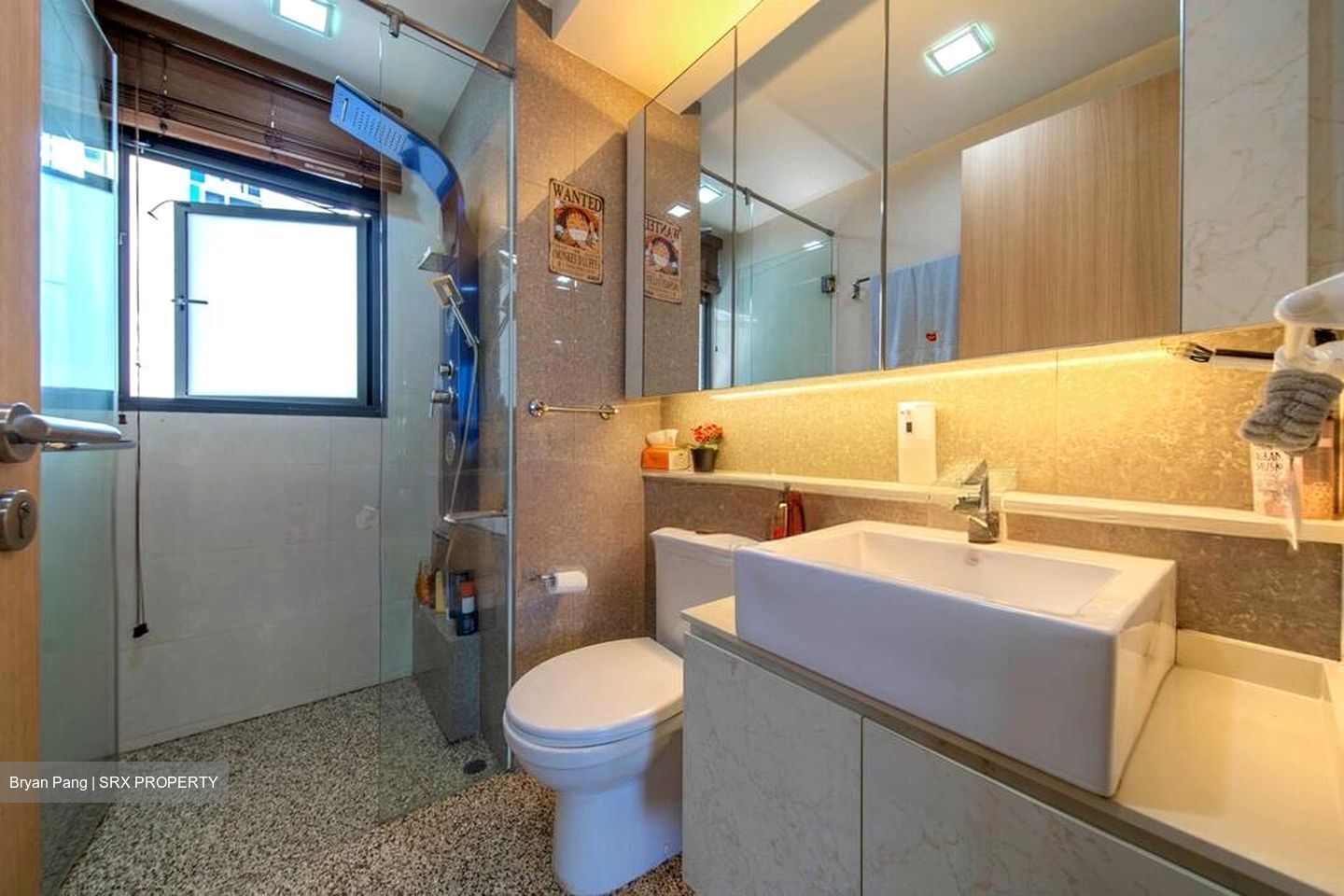 Twin Fountains (D25), Condominium #498380631